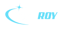 vivoroy logo